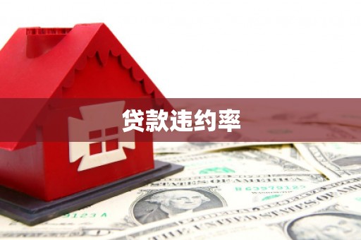 前镇贷款违约率