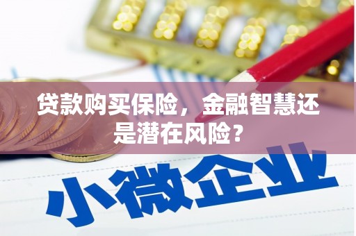 前镇贷款购买保险，金融智慧还是潜在风险？