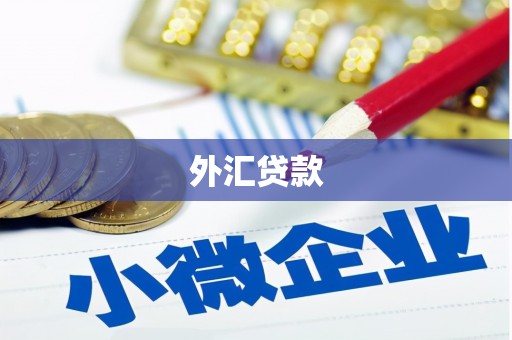 前镇外汇贷款