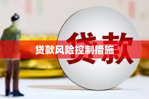 前镇贷款风险控制措施