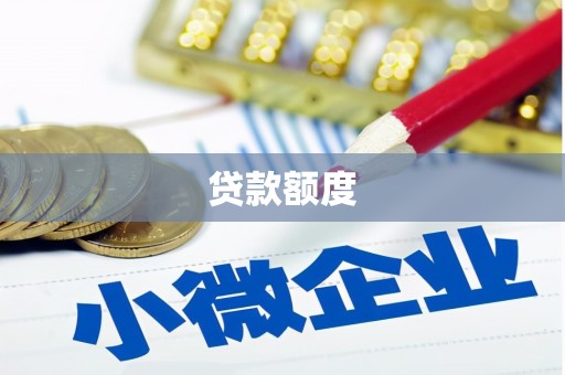 前镇贷款额度
