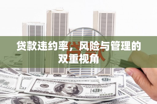 前镇贷款违约率，风险与管理的双重视角