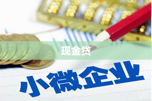 前镇现金贷
