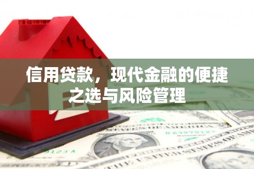 前镇信用贷款，现代金融的便捷之选与风险管理