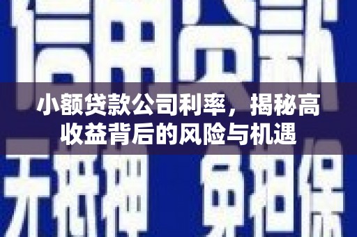 前镇小额贷款公司利率，揭秘高收益背后的风险与机遇