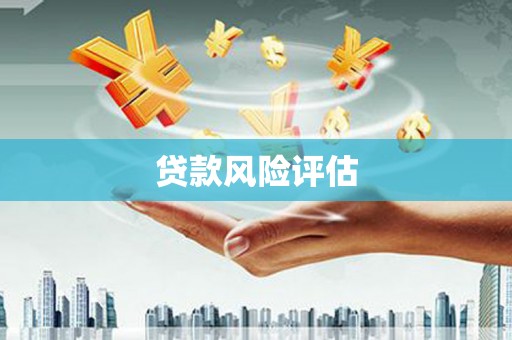 前镇贷款风险评估