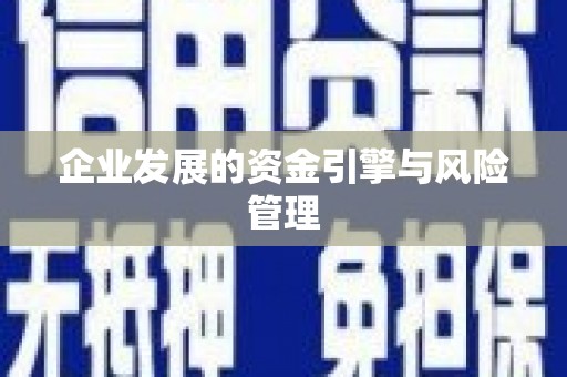 前镇企业发展的资金引擎与风险管理