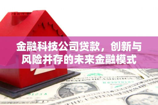 前镇金融科技公司贷款，创新与风险并存的未来金融模式