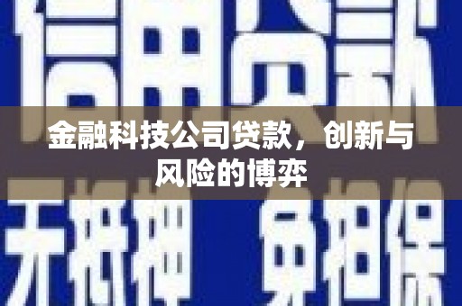 前镇金融科技公司贷款，创新与风险的博弈
