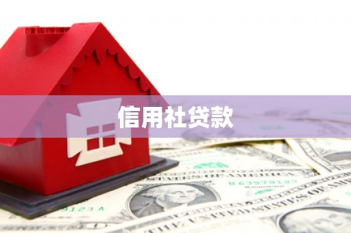 前镇信用社贷款