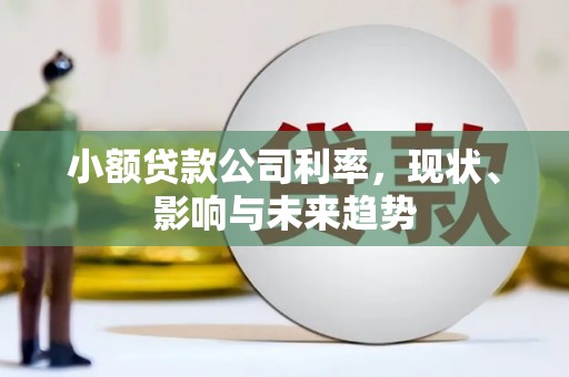 前镇小额贷款公司利率，现状、影响与未来趋势