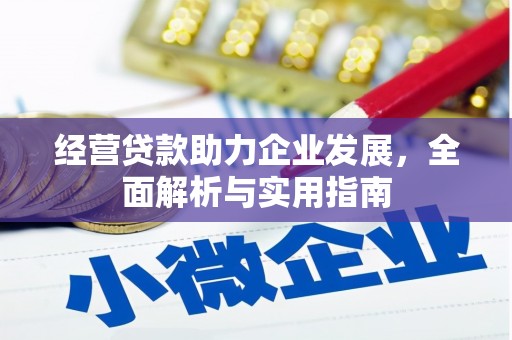前镇经营贷款助力企业发展，全面解析与实用指南