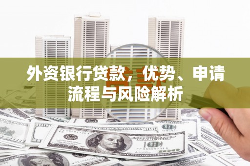 前镇外资银行贷款，优势、申请流程与风险解析