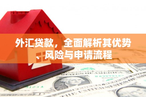 前镇外汇贷款，全面解析其优势、风险与申请流程