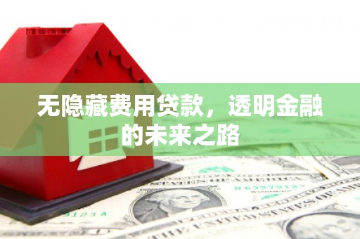前镇无隐藏费用贷款，透明金融的未来之路