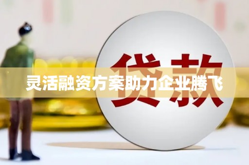 前镇灵活融资方案助力企业腾飞