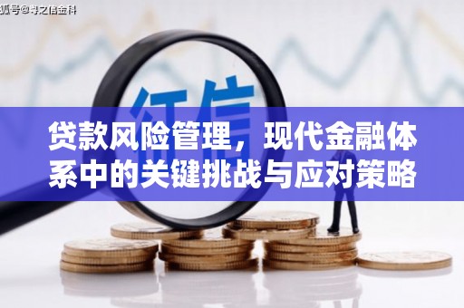 前镇贷款风险管理，现代金融体系中的关键挑战与应对策略