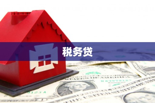 前镇税务贷