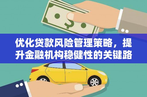 前镇优化贷款风险管理策略，提升金融机构稳健性的关键路径