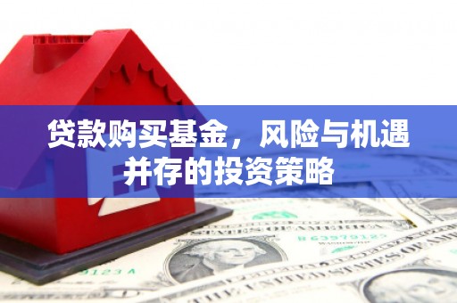 前镇贷款购买基金，风险与机遇并存的投资策略