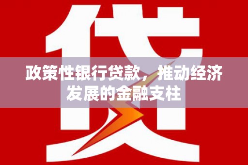 前镇政策性银行贷款，推动经济发展的金融支柱