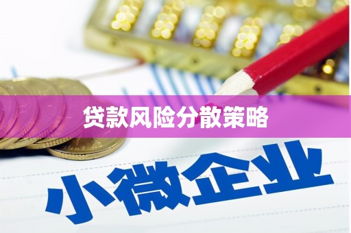 前镇贷款风险分散策略