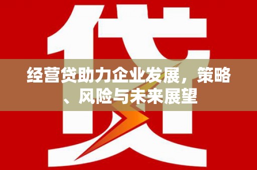前镇经营贷助力企业发展，策略、风险与未来展望