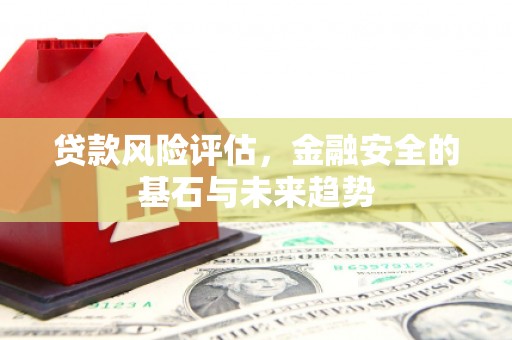 前镇贷款风险评估，金融安全的基石与未来趋势
