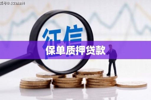 前镇保单质押贷款