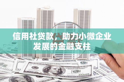 前镇信用社贷款，助力小微企业发展的金融支柱