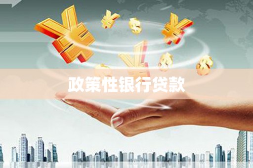 前镇政策性银行贷款