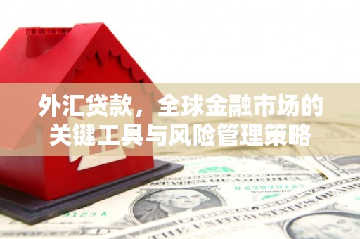 前镇外汇贷款，全球金融市场的关键工具与风险管理策略