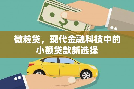 前镇微粒贷，现代金融科技中的小额贷款新选择