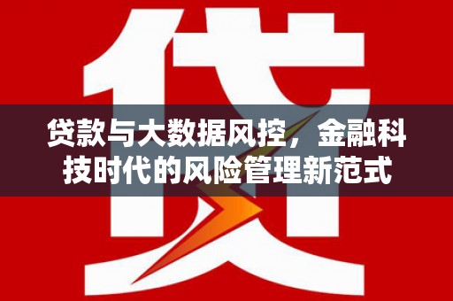 前镇贷款与大数据风控，金融科技时代的风险管理新范式