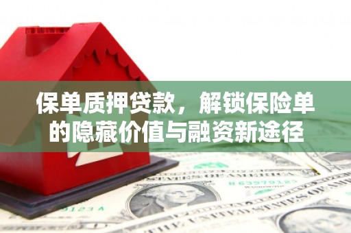 前镇保单质押贷款，解锁保险单的隐藏价值与融资新途径