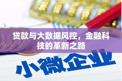 前镇贷款与大数据风控，金融科技的革新之路