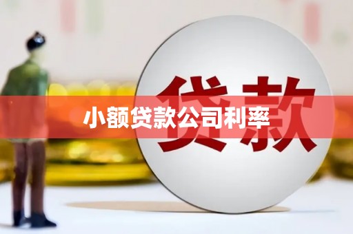 前镇小额贷款公司利率