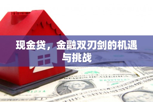 前镇现金贷，金融双刃剑的机遇与挑战