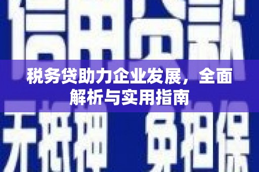 前镇税务贷助力企业发展，全面解析与实用指南