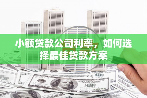 前镇小额贷款公司利率，如何选择最佳贷款方案