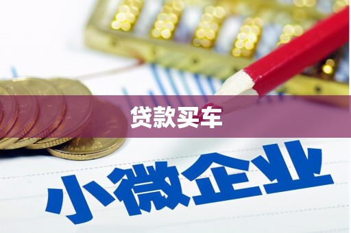 前镇贷款买车