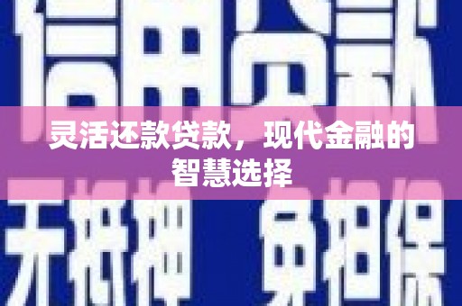 前镇灵活还款贷款，现代金融的智慧选择