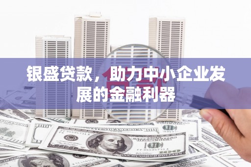 前镇银盛贷款，助力中小企业发展的金融利器