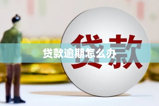前镇贷款逾期怎么办
