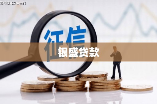 前镇银盛贷款
