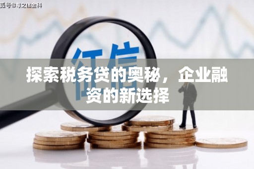 前镇探索税务贷的奥秘，企业融资的新选择