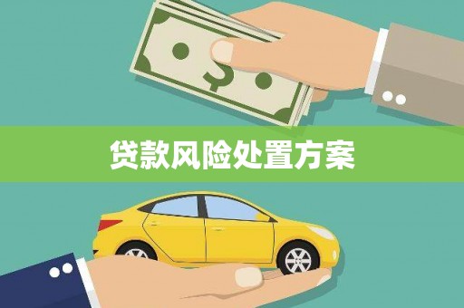 前镇贷款风险处置方案
