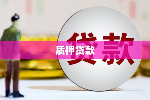 前镇质押贷款