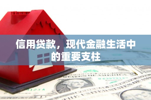 前镇信用贷款，现代金融生活中的重要支柱