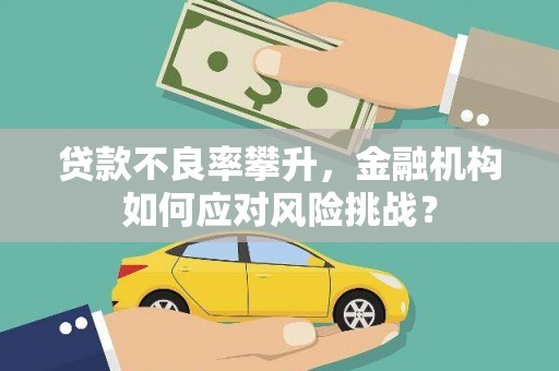 前镇贷款不良率攀升，金融机构如何应对风险挑战？